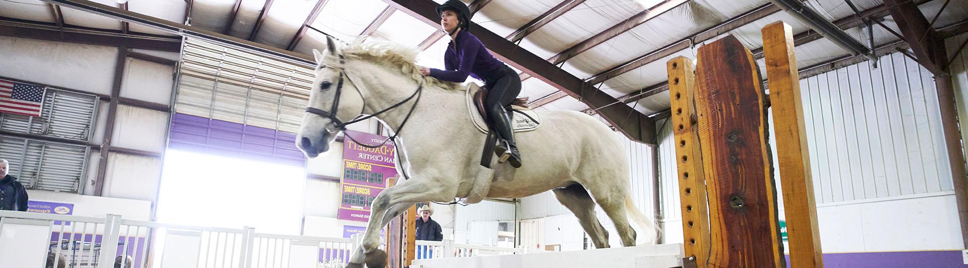 person on horse jumping a fence inside the Equestrian Center